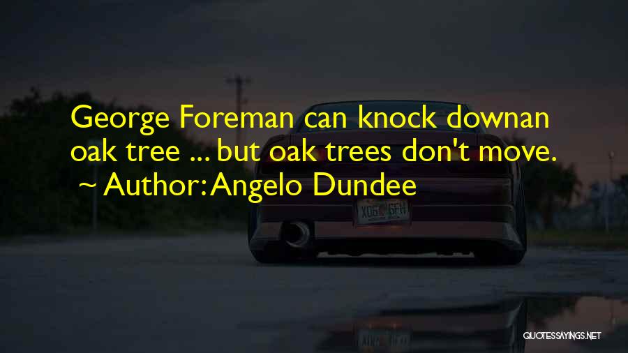 Oak Tree Quotes By Angelo Dundee