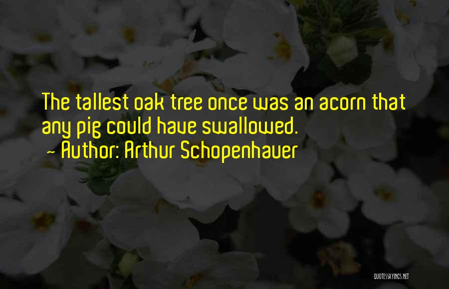 Oak Tree Quotes By Arthur Schopenhauer