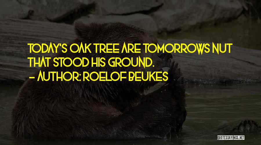 Oak Tree Quotes By Roelof Beukes