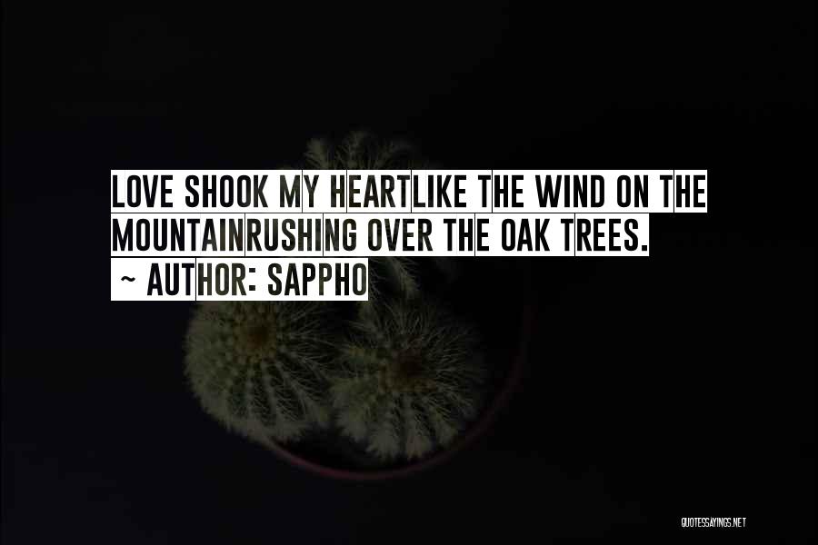 Oak Trees And Love Quotes By Sappho