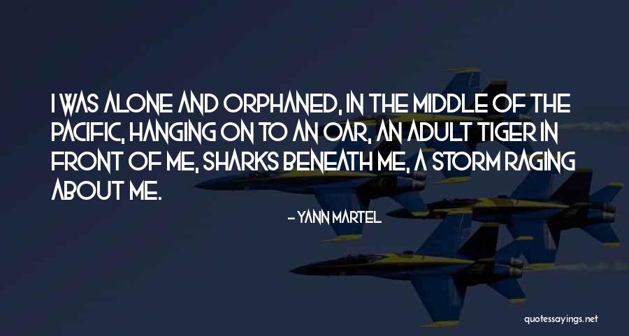 Oar Quotes By Yann Martel Oar Quotes By Yann Martel