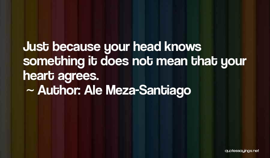 Oaths And Promises Quotes By Ale Meza-Santiago