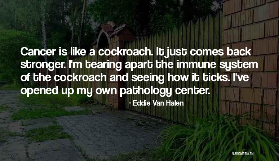 Obama Dumb Quotes By Eddie Van Halen Obama Dumb Quotes By Eddie Van Halen