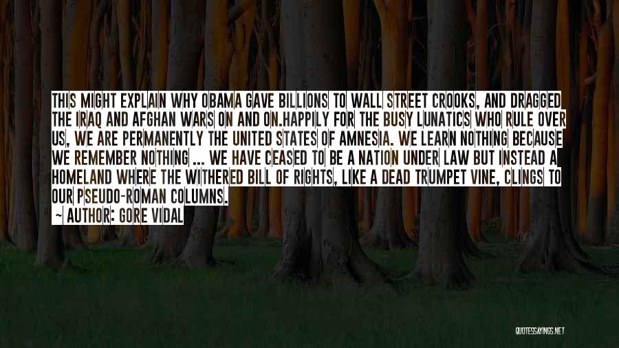 Obama Rule Of Law Quotes By Gore Vidal