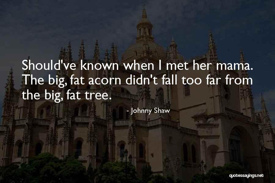 Obamanation Bumper Quotes By Johnny Shaw Obamanation Bumper Quotes By Johnny Shaw