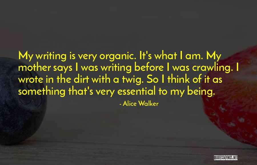 Obaveze Deteta Quotes By Alice Walker Obaveze Deteta Quotes By Alice Walker