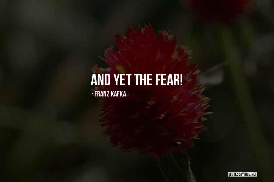 Obedience Stuff Quotes By Franz Kafka