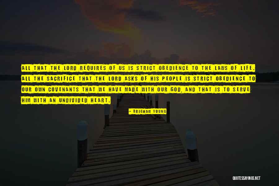 Obedience To Law Quotes By Brigham Young Obedience To Law Quotes By Brigham Young