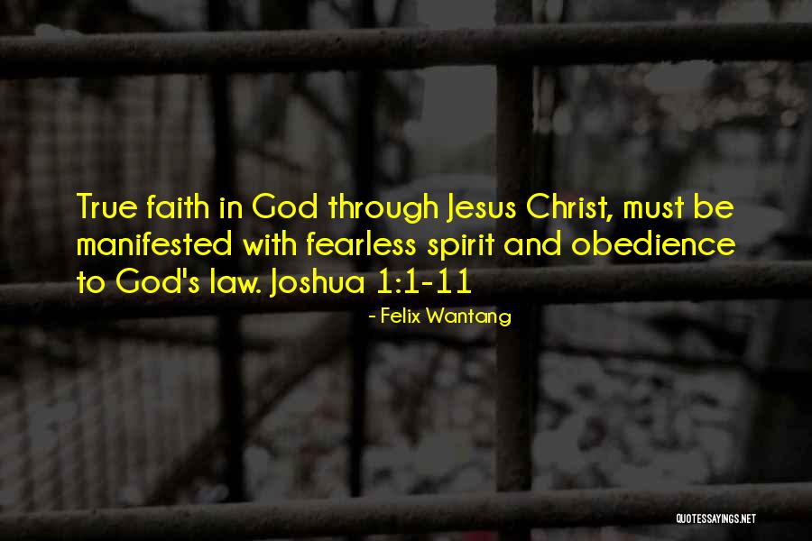 Obedience To Law Quotes By Felix Wantang Obedience To Law Quotes By Felix Wantang