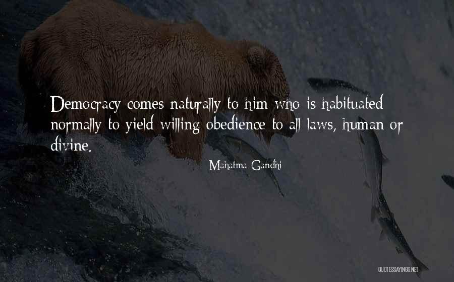 Obedience To Law Quotes By Mahatma Gandhi Obedience To Law Quotes By Mahatma Gandhi
