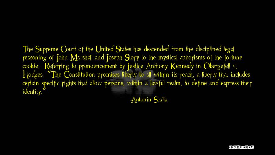 Obergefell V. Hodges Quotes By Antonin Scalia