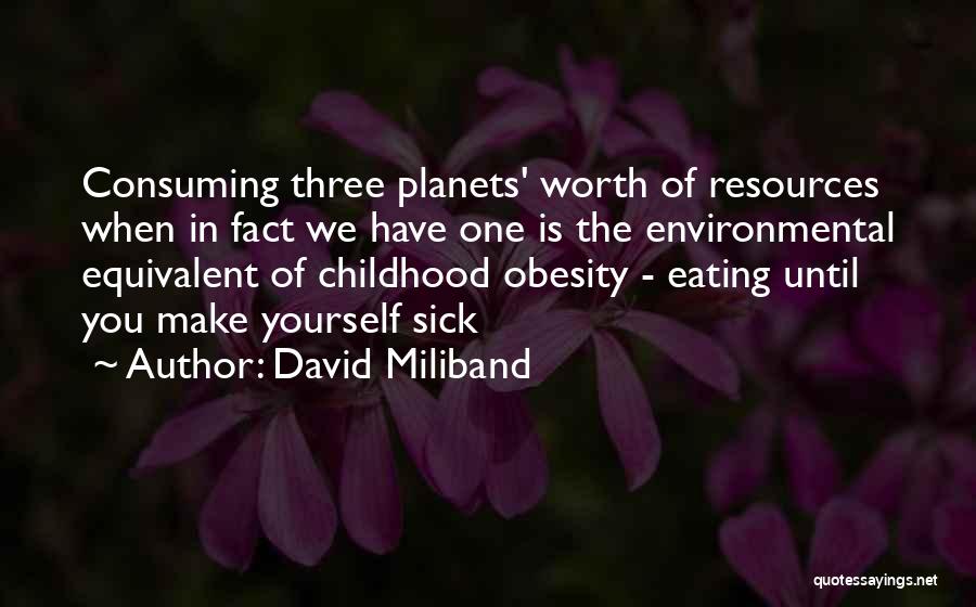 Obesity Quotes By David Miliband
