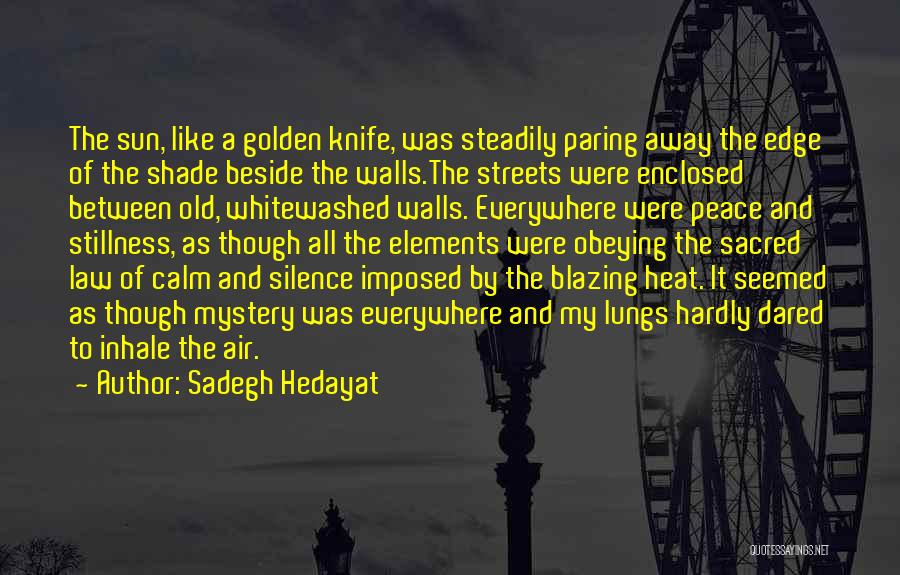 Obeying The Law Quotes By Sadegh Hedayat