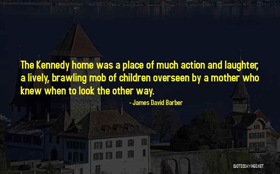 Obinze Americanah Quotes By James David Barber Obinze Americanah Quotes By James David Barber