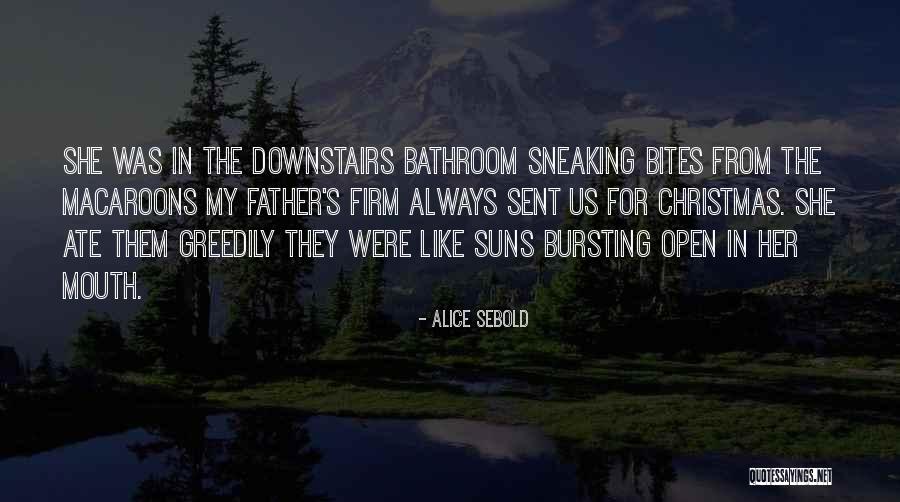 Obinze In Americanah Quotes By Alice Sebold Obinze In Americanah Quotes By Alice Sebold