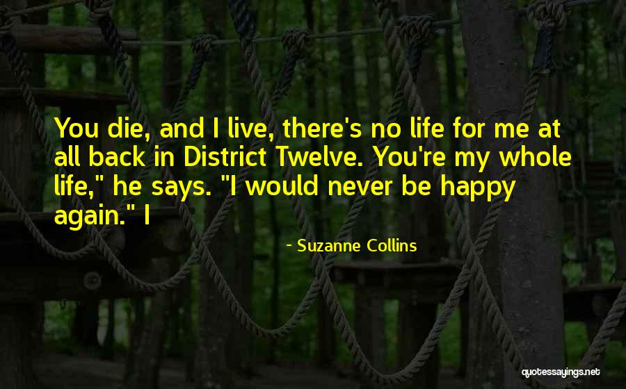 Obinze In Americanah Quotes By Suzanne Collins Obinze In Americanah Quotes By Suzanne Collins