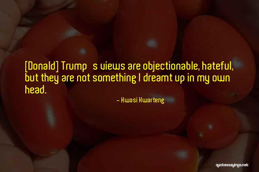 Objectionable Quotes By Kwasi Kwarteng Objectionable Quotes By Kwasi Kwarteng