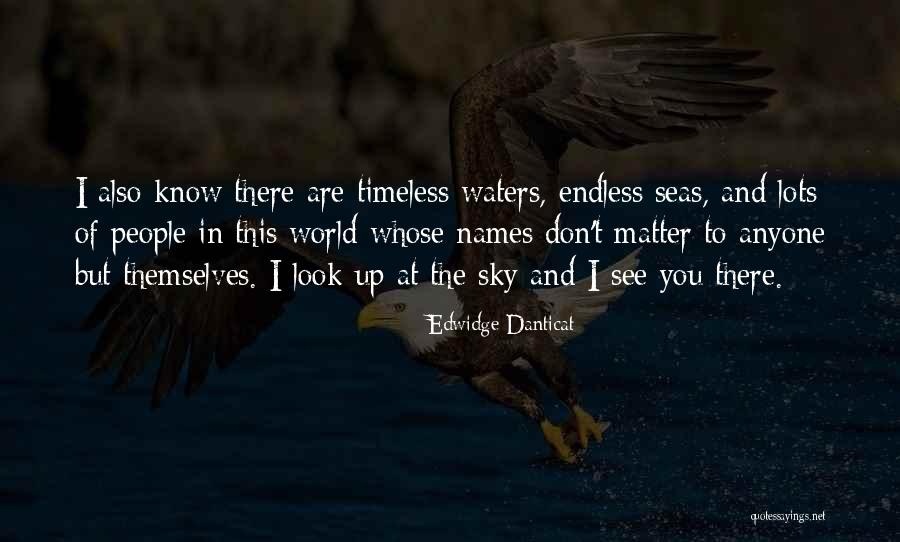 Objective And Task Quotes By Edwidge Danticat Objective And Task Quotes By Edwidge Danticat