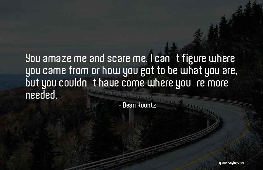 Objectivists On Fire Quotes By Dean Koontz Objectivists On Fire Quotes By Dean Koontz