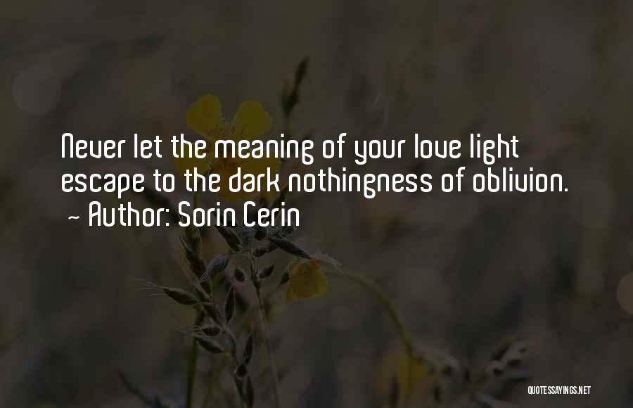Oblivion Quotes By Sorin Cerin