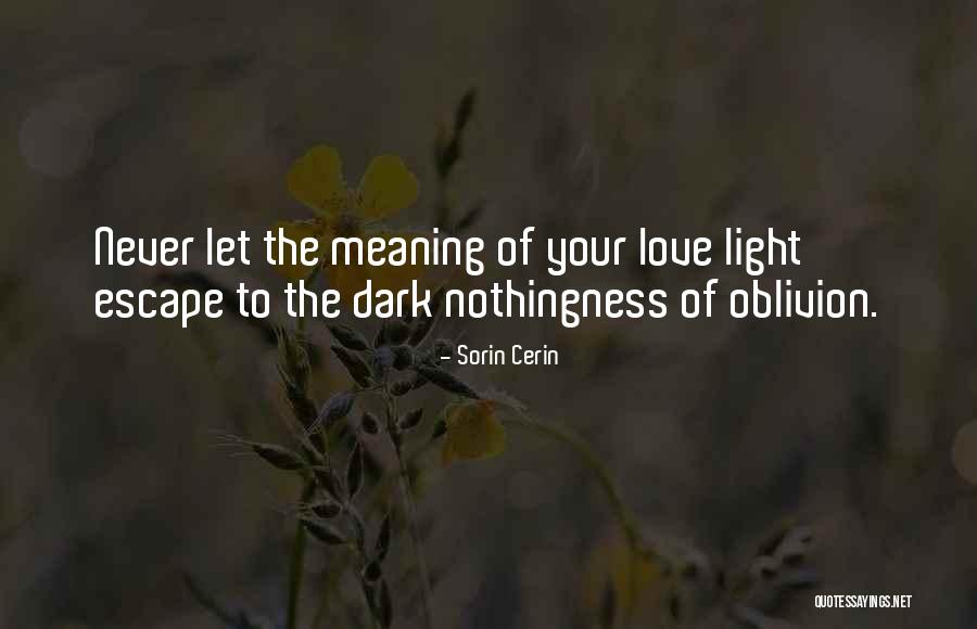 Oblivion Quotes By Sorin Cerin