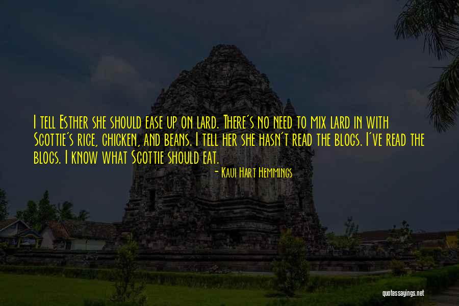 Obrenovic Vikipedija Quotes By Kaui Hart Hemmings Obrenovic Vikipedija Quotes By Kaui Hart Hemmings