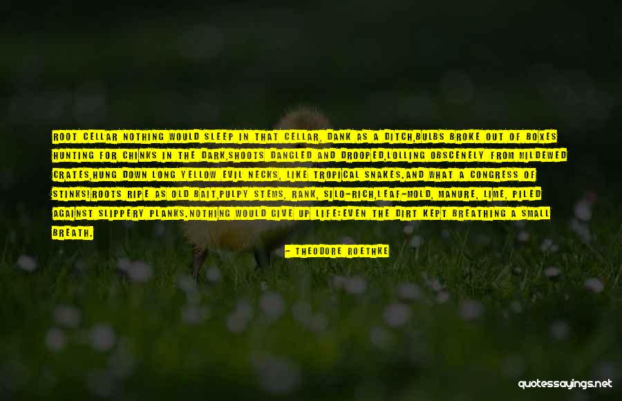 Obscenely Rich Quotes By Theodore Roethke Obscenely Rich Quotes By Theodore Roethke