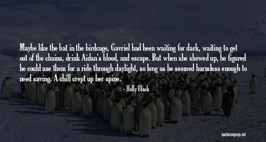 Obscenidades Quotes By Holly Black Obscenidades Quotes By Holly Black