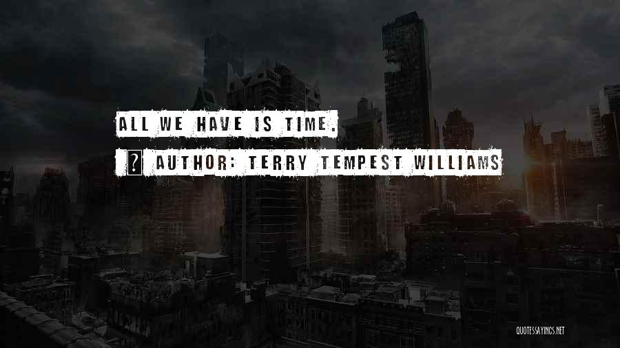 Obscure Success Quotes By Terry Tempest Williams