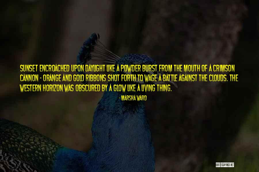 Obscured By Clouds Quotes By Marsha Ward Obscured By Clouds Quotes By Marsha Ward