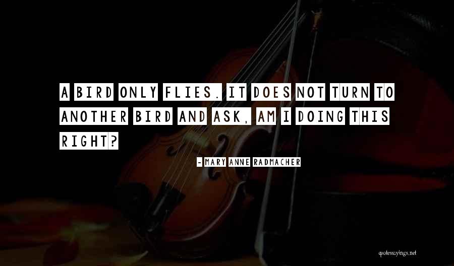Obsedat In English Quotes By Mary Anne Radmacher Obsedat In English Quotes By Mary Anne Radmacher