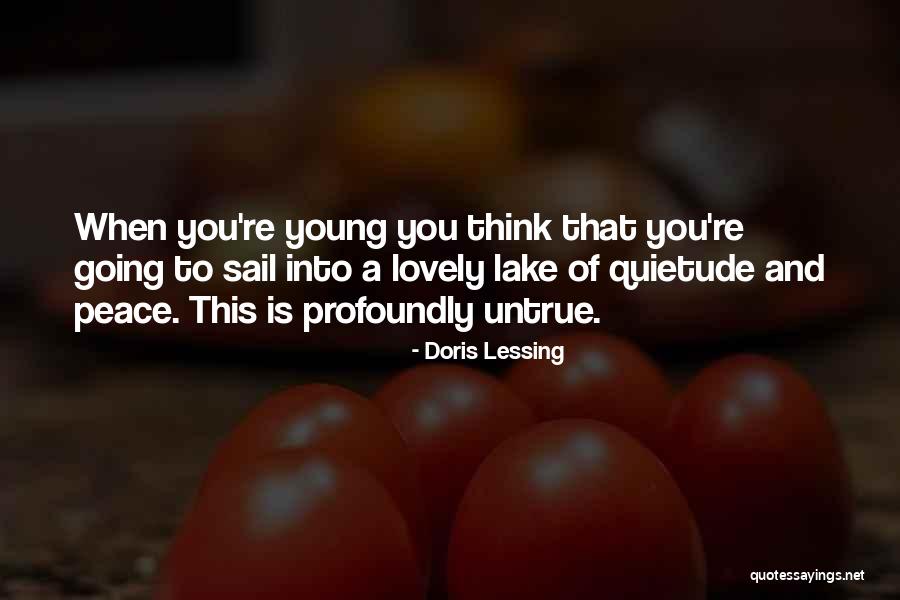 Observactions Quotes By Doris Lessing Observactions Quotes By Doris Lessing