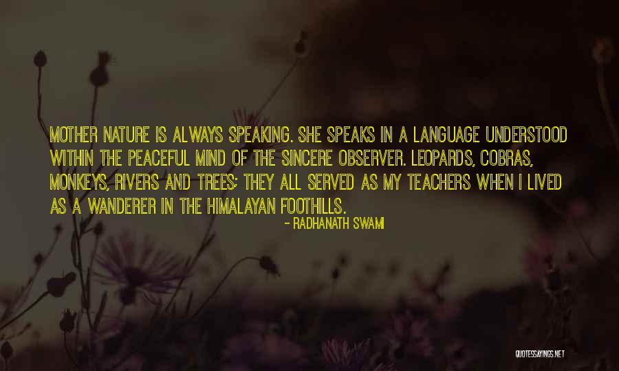 Observer Of Nature Quotes By Radhanath Swami Observer Of Nature Quotes By Radhanath Swami