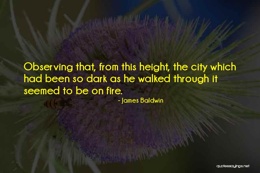 Observing Life Quotes By James Baldwin Observing Life Quotes By James Baldwin