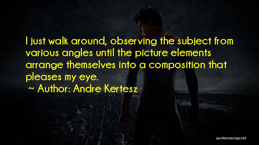 Observing Quotes By Andre Kertesz