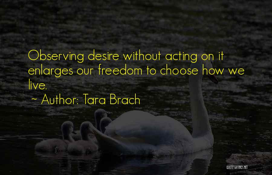 Observing Someone Quotes By Tara Brach