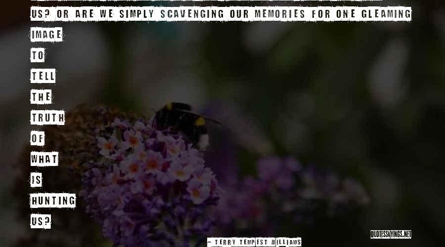 Obsessions Quotes By Terry Tempest Williams Obsessions Quotes By Terry Tempest Williams