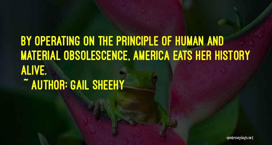 Obsolescence Quotes By Gail Sheehy