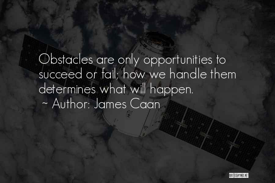 Obstacles And Opportunities Quotes By James Caan