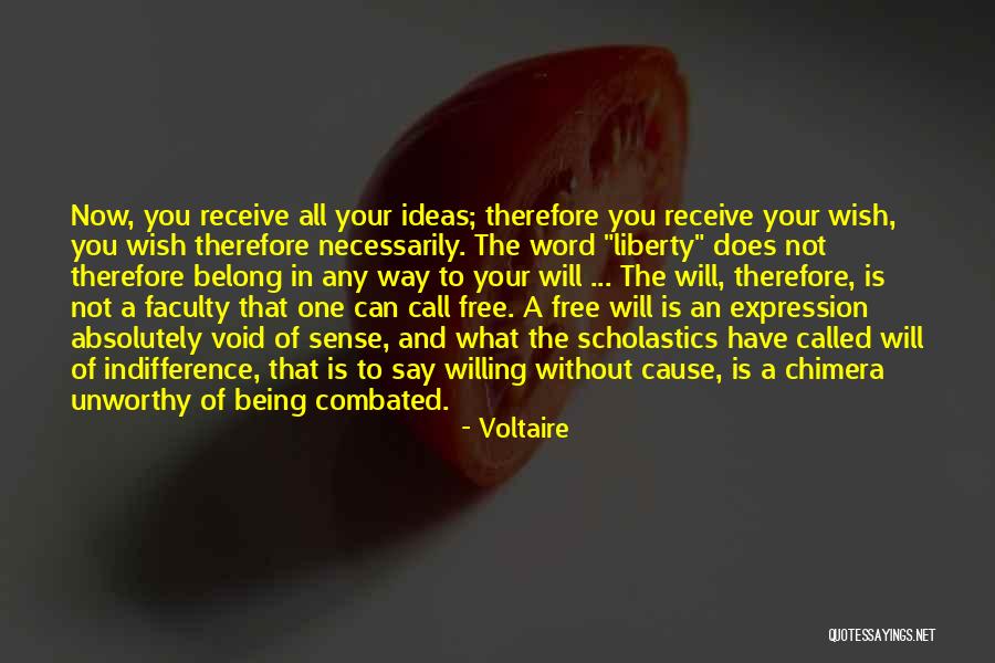 Obstacole Ale Quotes By Voltaire Obstacole Ale Quotes By Voltaire