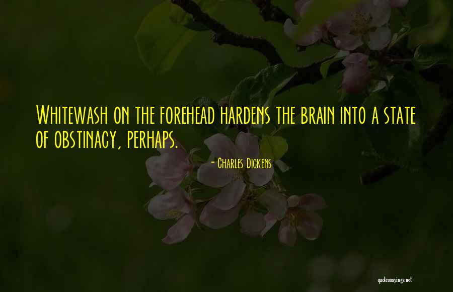 Obstinacy Quotes By Charles Dickens Obstinacy Quotes By Charles Dickens