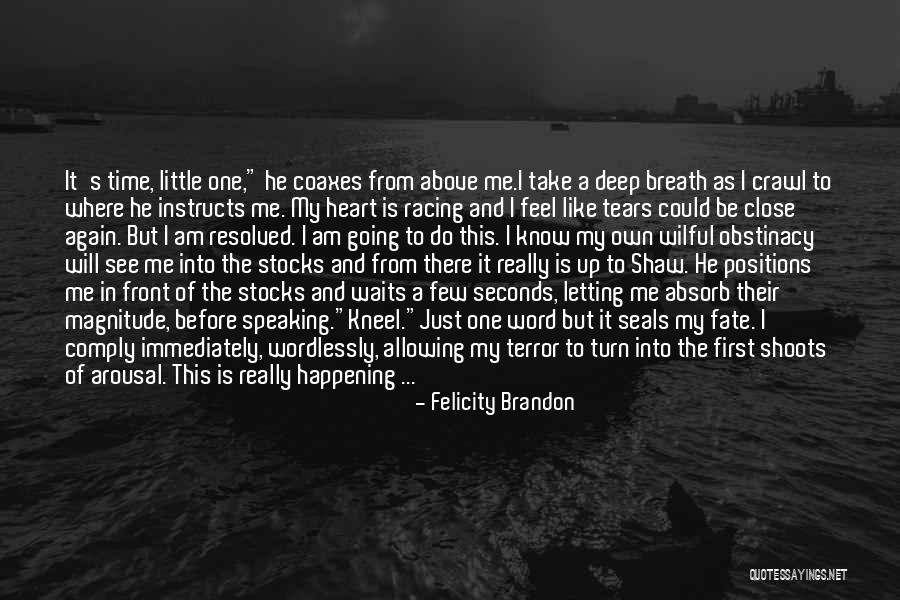 Obstinacy Quotes By Felicity Brandon Obstinacy Quotes By Felicity Brandon
