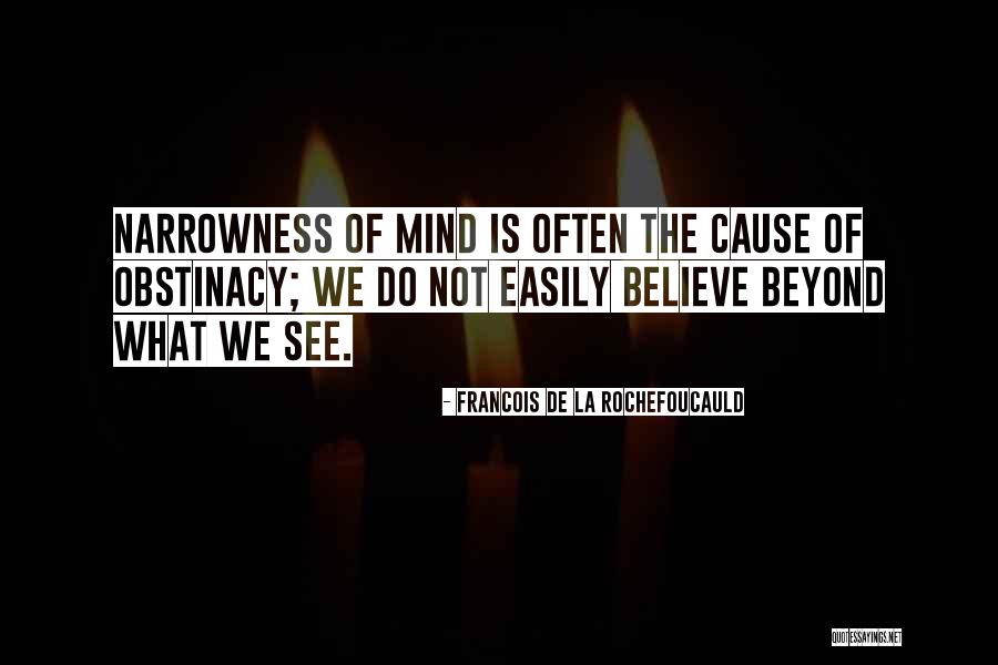 Obstinacy Quotes By Francois De La Rochefoucauld Obstinacy Quotes By Francois De La Rochefoucauld