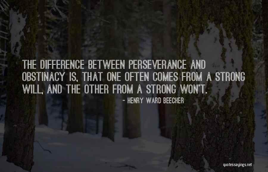 Obstinacy Quotes By Henry Ward Beecher Obstinacy Quotes By Henry Ward Beecher