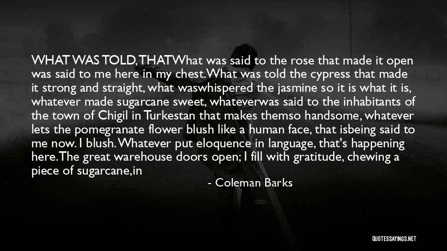 Obstinance Quotes By Coleman Barks Obstinance Quotes By Coleman Barks
