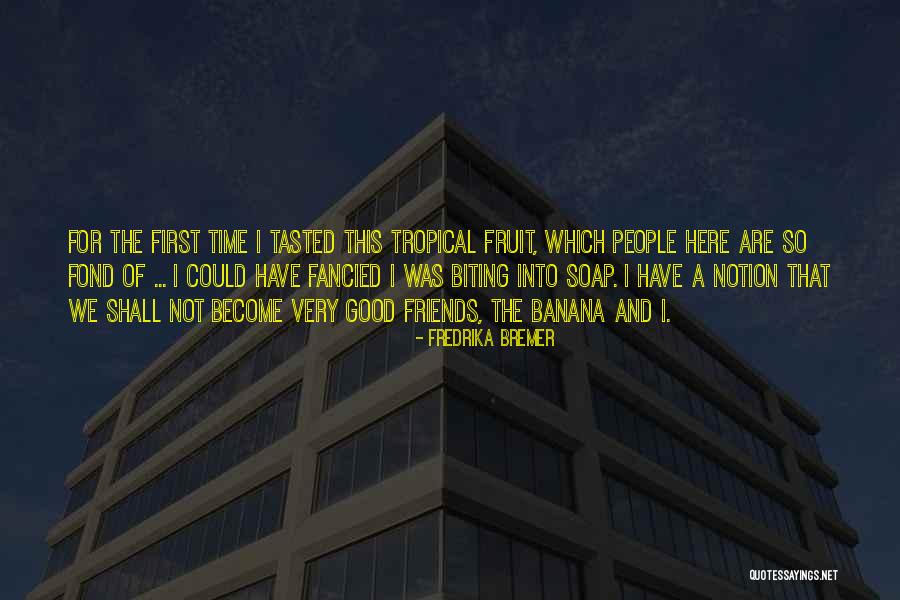 Obsure Holiday Quotes By Fredrika Bremer Obsure Holiday Quotes By Fredrika Bremer