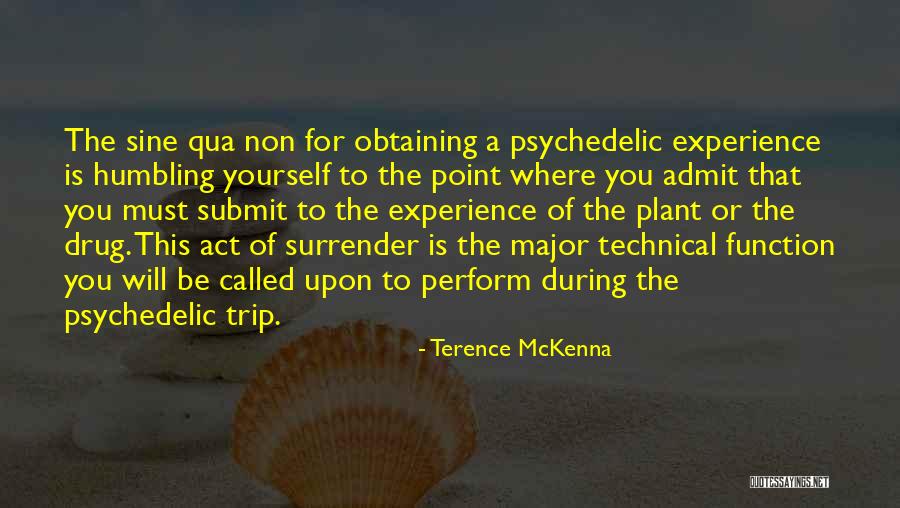 Obtaining 3 Quotes By Terence McKenna Obtaining 3 Quotes By Terence McKenna