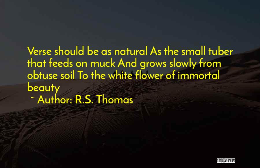 Obtuse Quotes By R.S. Thomas