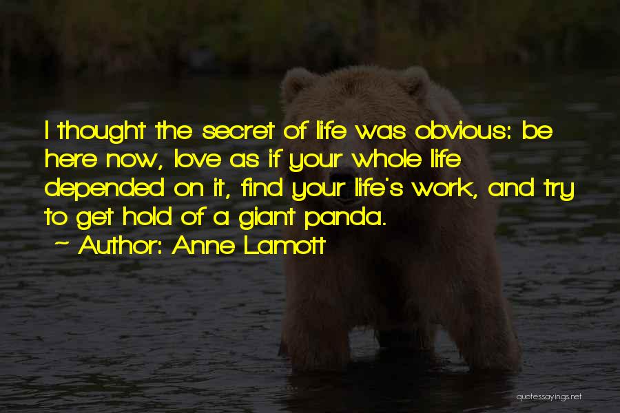 Obvious Love Quotes By Anne Lamott
