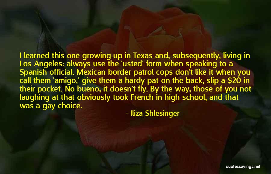 Obviously In Spanish Quotes By Iliza Shlesinger Obviously In Spanish Quotes By Iliza Shlesinger